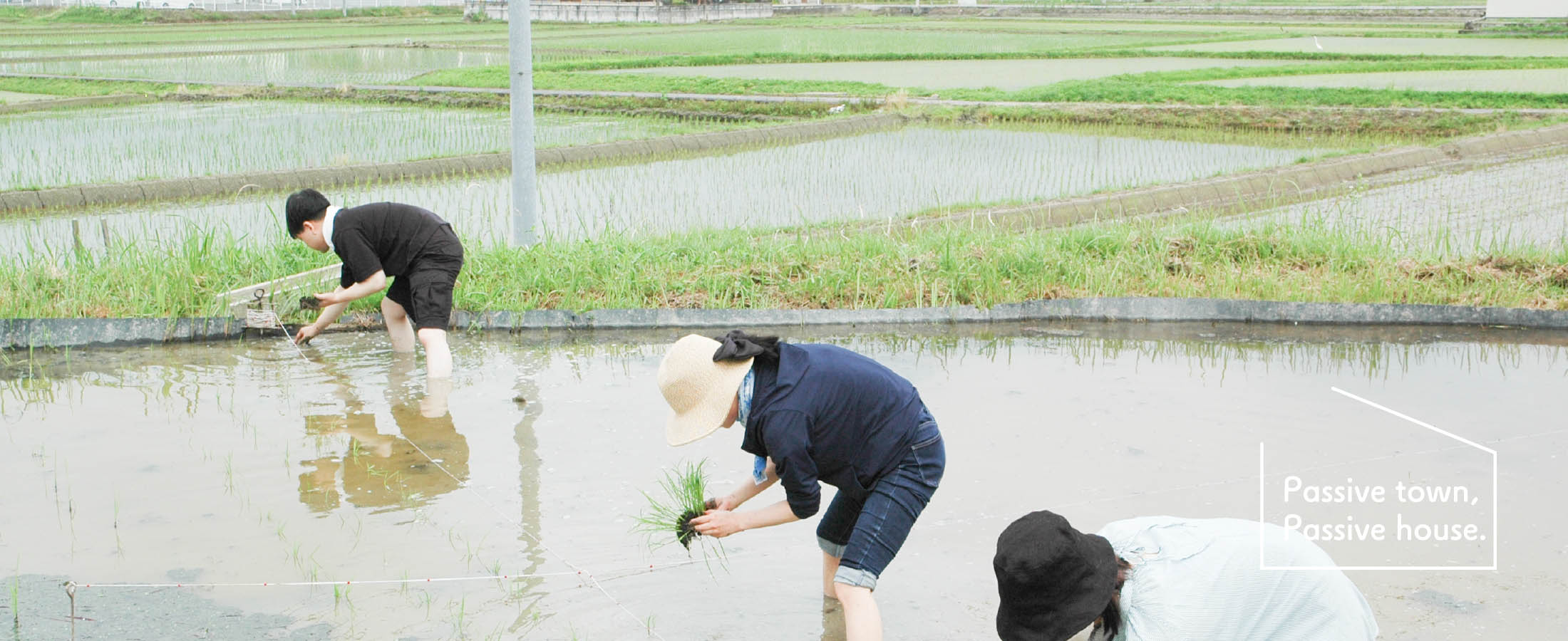 田植え【岡山・吉備の国で理想の暮らしを。太陽の光と風、自然のエネルギーを生かした快適な住まいを。｜Passive town, Passive house.】